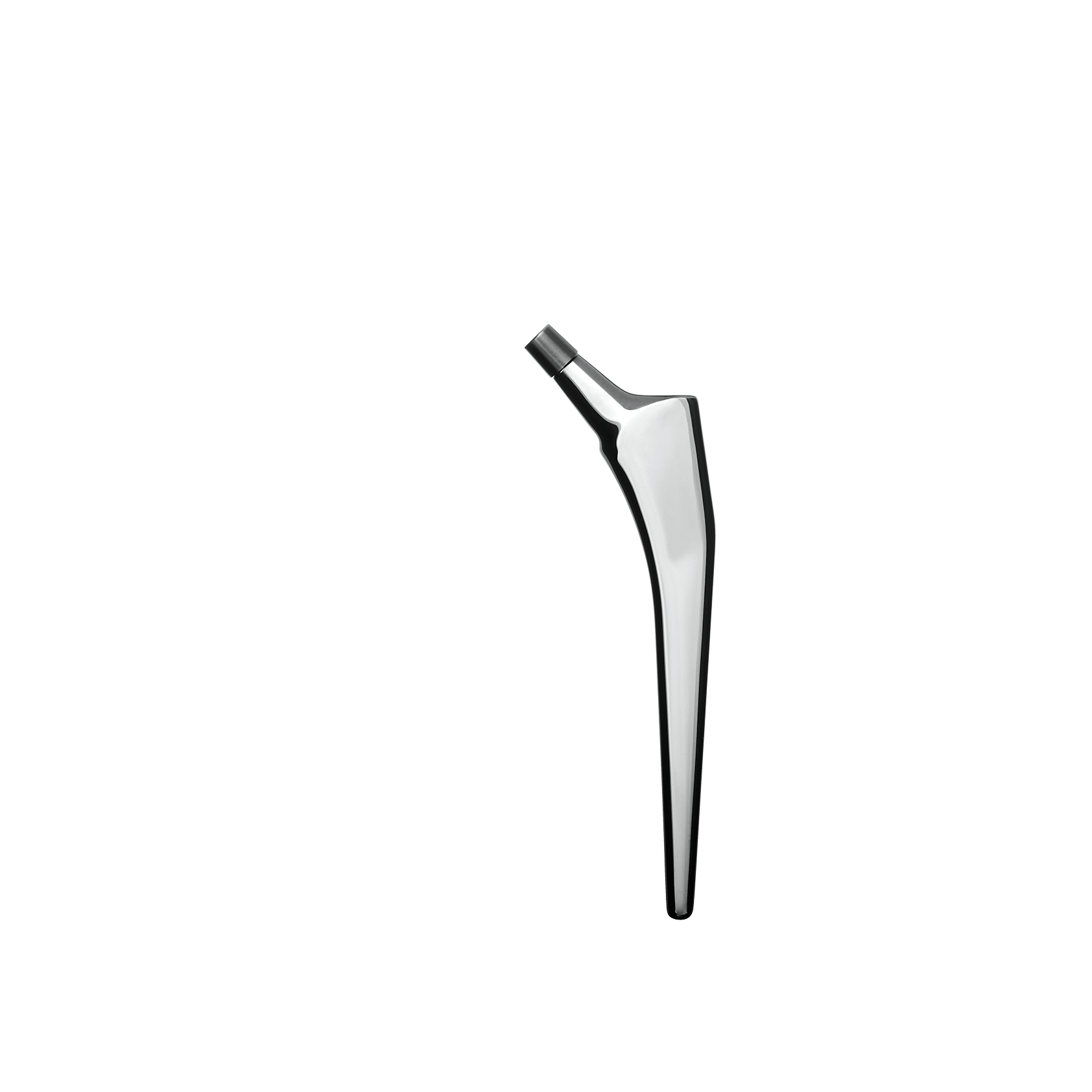 Ortohip cementless bipolar hip system