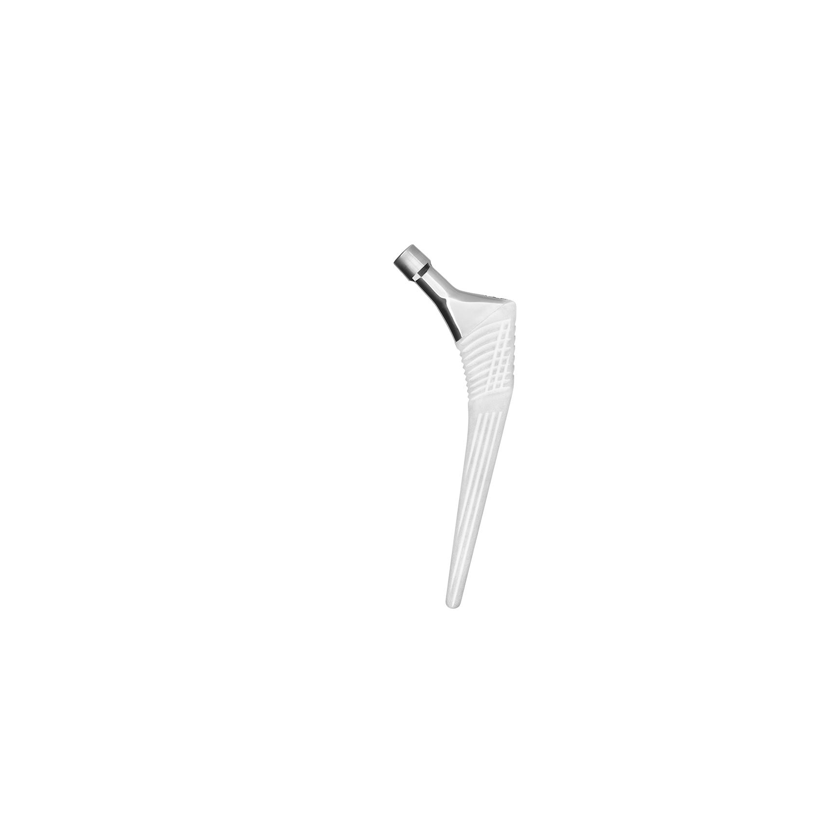 Ortohip cementless total hip system